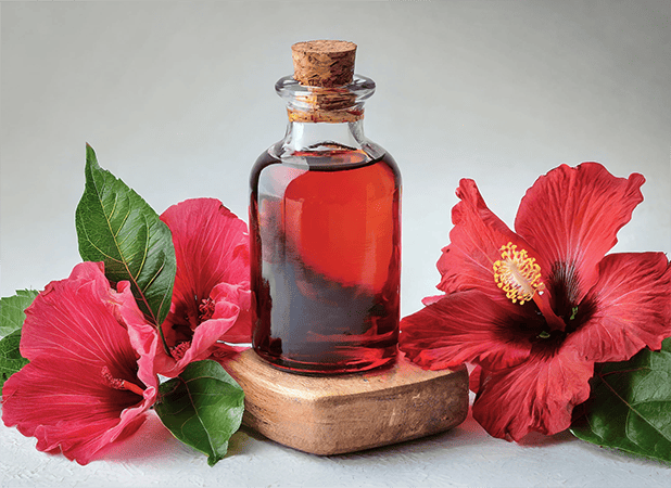 Hibiscus Extract ingredient