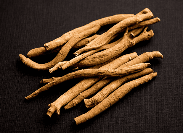 Shatavari Root ingredient